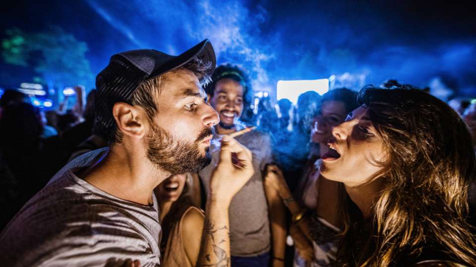 Cannabis Presence at Festivals