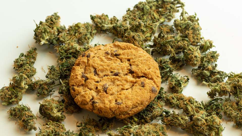 Cannabis Culinary Harmony
